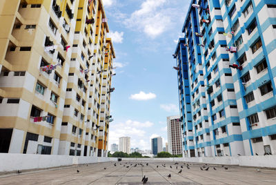 Birds on walkway amidst buildings in city