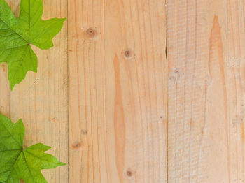 Full frame shot of wooden wall