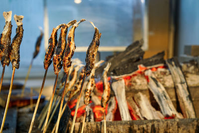 Close-up of dry plants