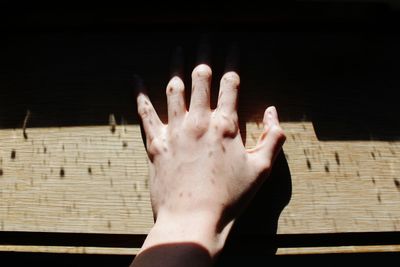 Close-up of human hand