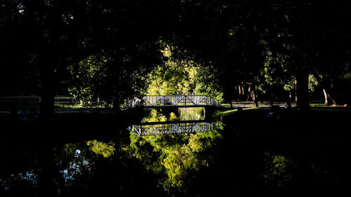 Trees by lake in park