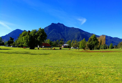 Scenic view of landscape and mountains against blue sky