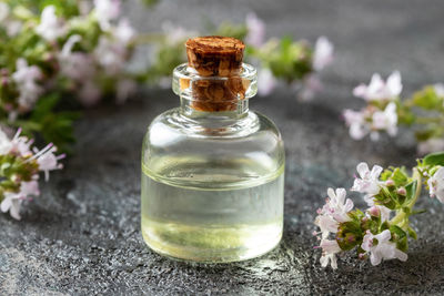 Close-up of white flower in glass on table