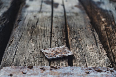 Close-up of wooden log in winter