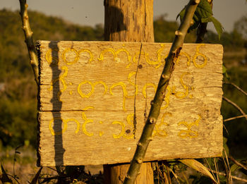 Close-up of text on tree trunk
