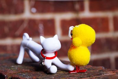 Close-up of toy