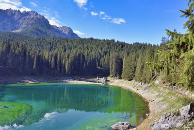 Scenic view of lake and trees against sky