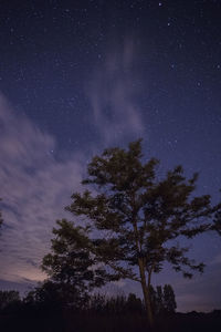 Low angle view of tree against sky at night