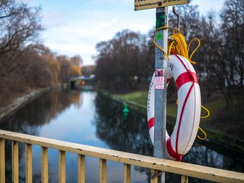 Clothes hanging by trees against sky