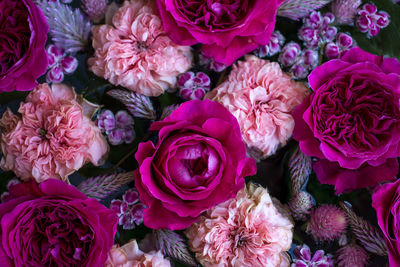 Full frame shot of pink flowers. carnations and roses floating on water