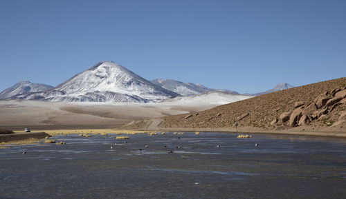 Highland lagoons next to geysers of "el tatio" at sunrise