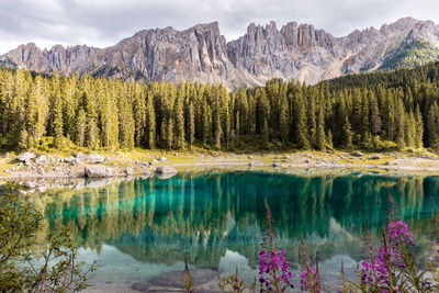 Scenic view of lake and mountains against sky