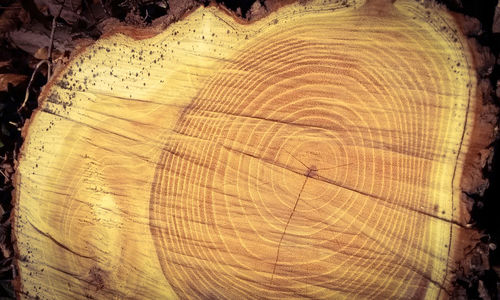 Full frame shot of abstract background