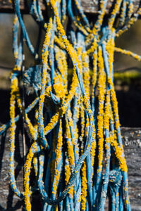 Close-up of ropes