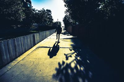 Silhouette man shadow on tree