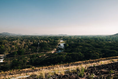 Scenic view of field against clear sky