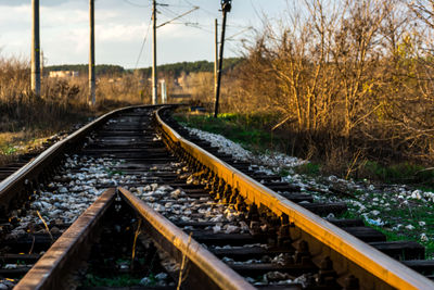 Railroad track amidst trees against sky