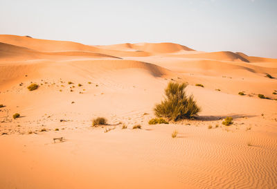 Sand dunes in desert against clear sky