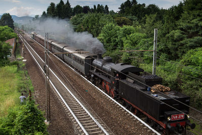 Train on railroad tracks amidst trees