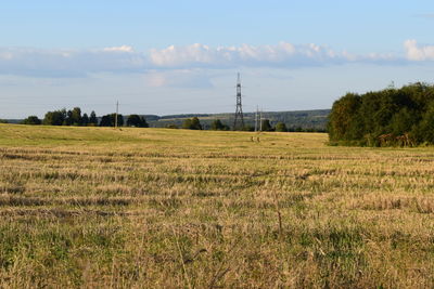 Scenic view of grassy field against sky