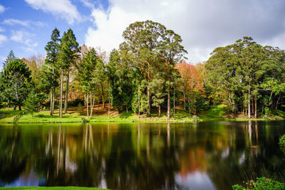 Scenic view of lake by trees against sky