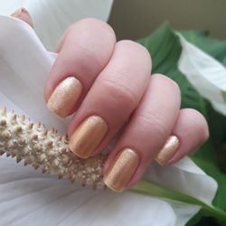 Close-up of cropped woman hand holding white flower