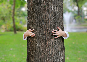 Kid hugging hid body behind a big tree in the garden