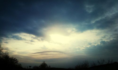 Low angle view of silhouette trees against sky