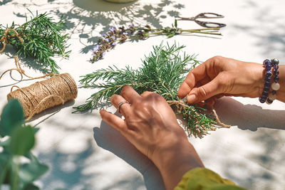 Alternative medicine. collection and drying of herbs. woman holding in her hands a bunch of rosemary