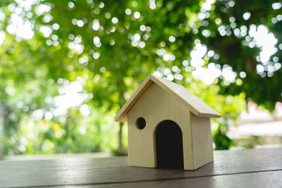 Close-up of birdhouse on tree