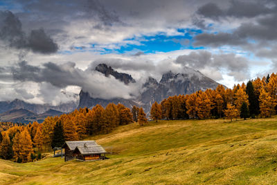 Scenic view of field against sky