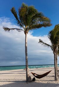 Hammock on south beach