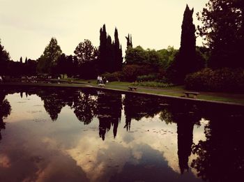 Reflection of trees in pond