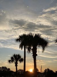 Low angle view of coconut palm trees against sky during sunset