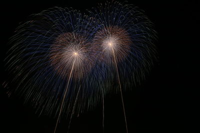 Low angle view of firework display at night