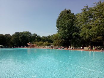 Swimming pool by trees against clear sky