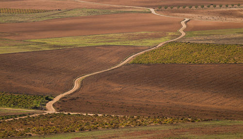 Aerial view of landscape of vineyard fields with dirt road in castilla la mancha, spain