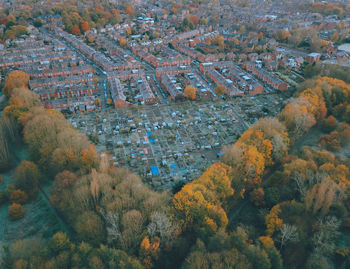 High angle view of trees by cityscape 