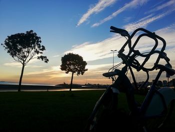 Silhouette trees on field against sky during sunset