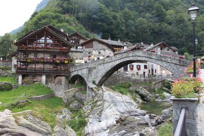 Arch bridge over river amidst trees and buildings