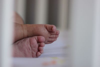 Close-up of baby feet