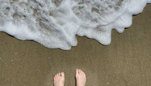 Low section of person standing on beach