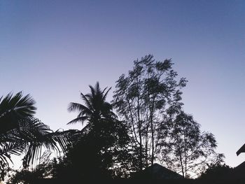 Low angle view of silhouette trees against clear sky