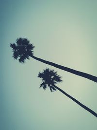 Low angle view of silhouette trees against clear sky