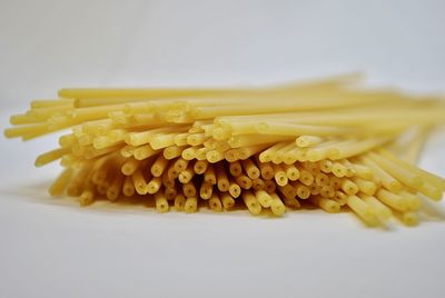 Close-up of yellow and plant on white background