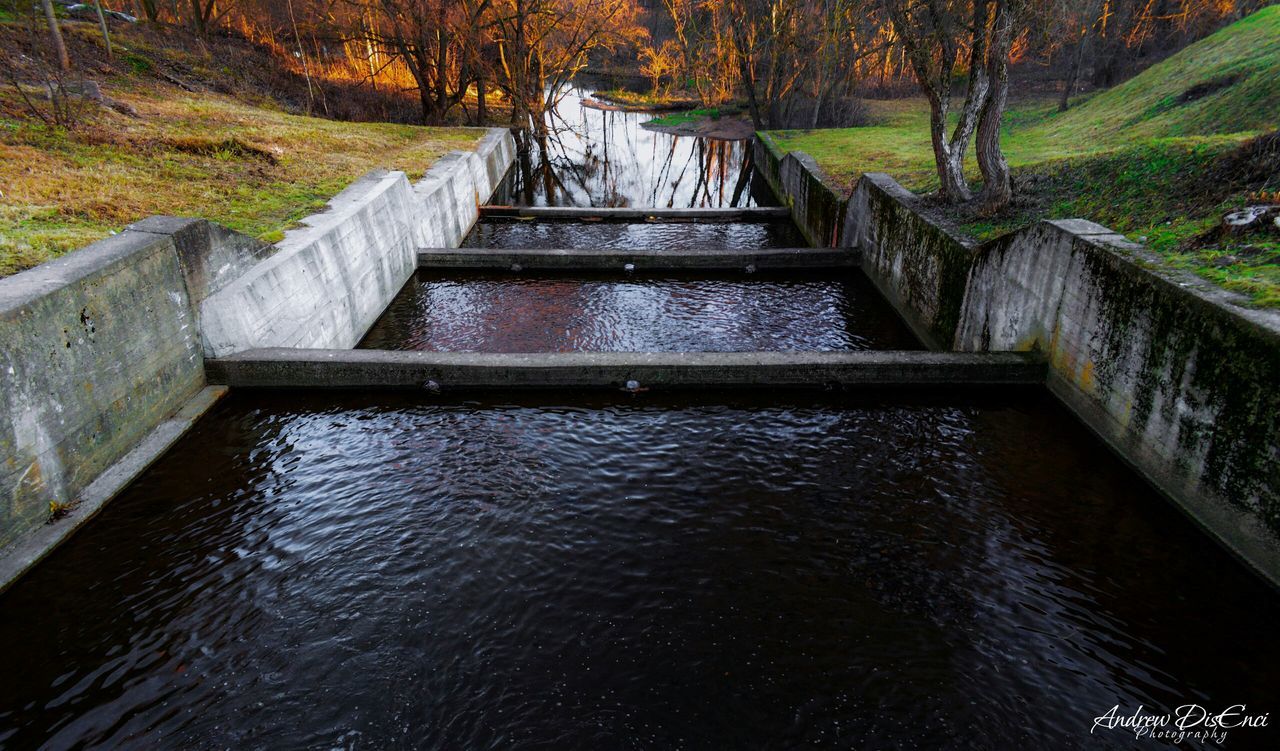 water, waterfront, tree, built structure, river, connection, architecture, bridge - man made structure, reflection, canal, tranquility, nature, footbridge, lake, forest, rippled, beauty in nature, stream, tranquil scene, scenics