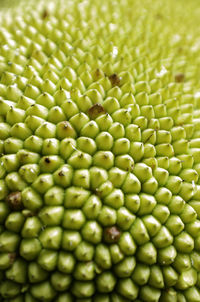 Full frame shot of green leaves