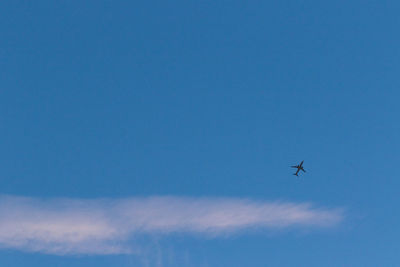 Low angle view of airplane flying in sky