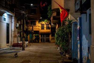 People walking on street