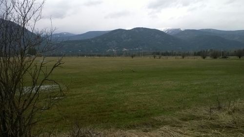 Scenic view of grassy field against cloudy sky